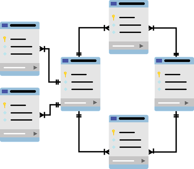 database schema